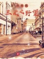 四合院三藏之野望有声