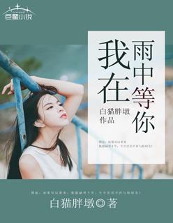 我在雨中等你电影评分